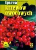Uprawa krzewów owocowych